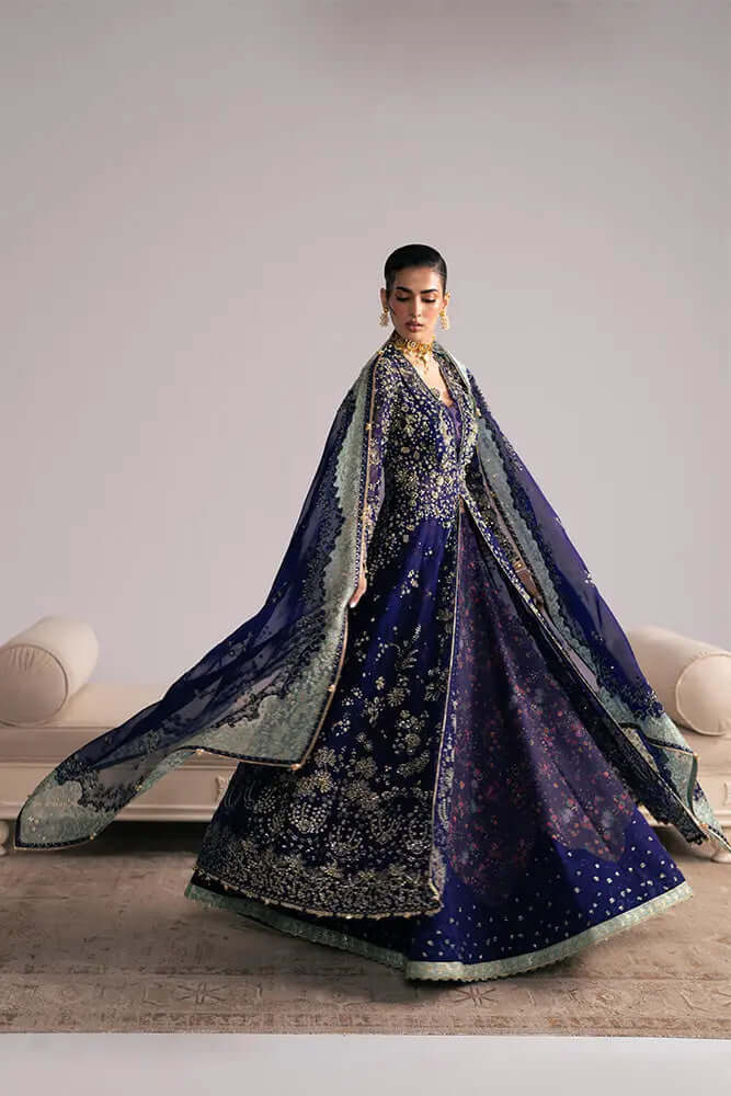 Rishaal elegant embroidered and embellished organza dress showcasing royal blue color and intricate designs.