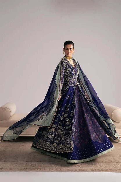 Rishaal elegant embroidered and embellished organza dress showcasing royal blue color and intricate designs.